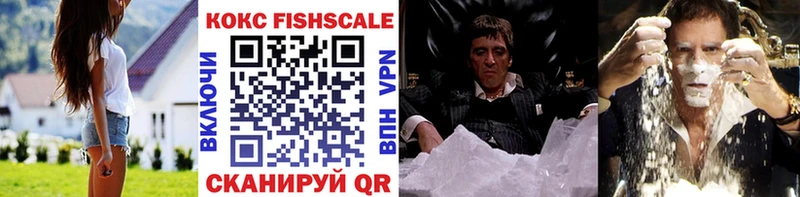 Кокаин Fish Scale  это состав  Североморск 